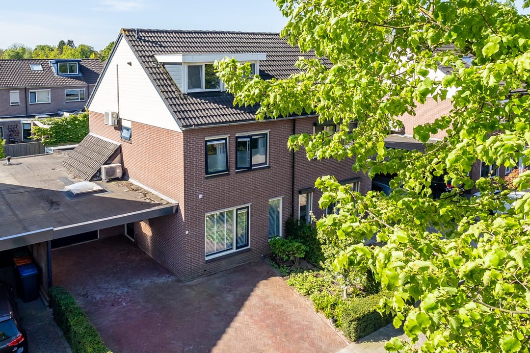 Foto 2 van Gentiaan 5
