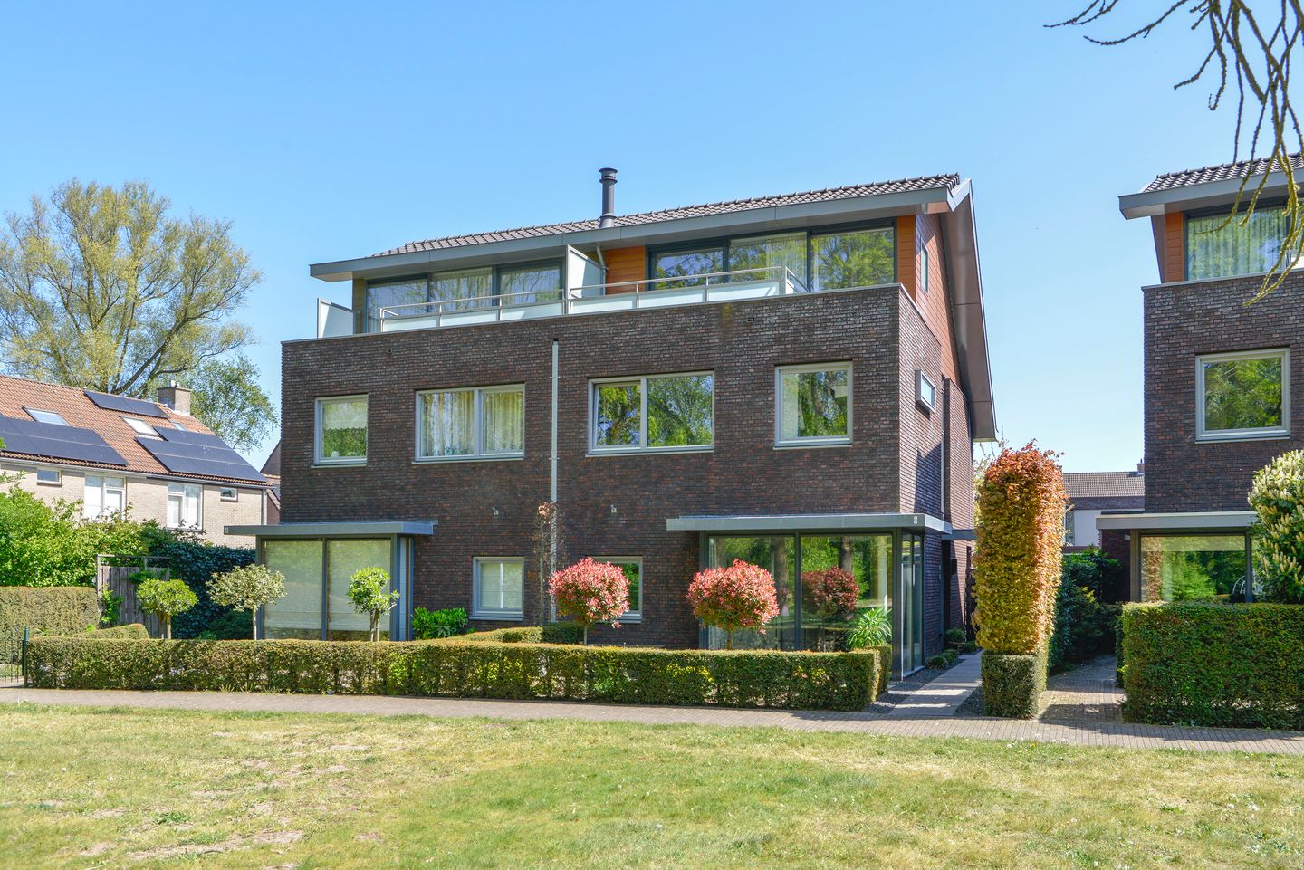 Foto 5 van Hermelijn 8