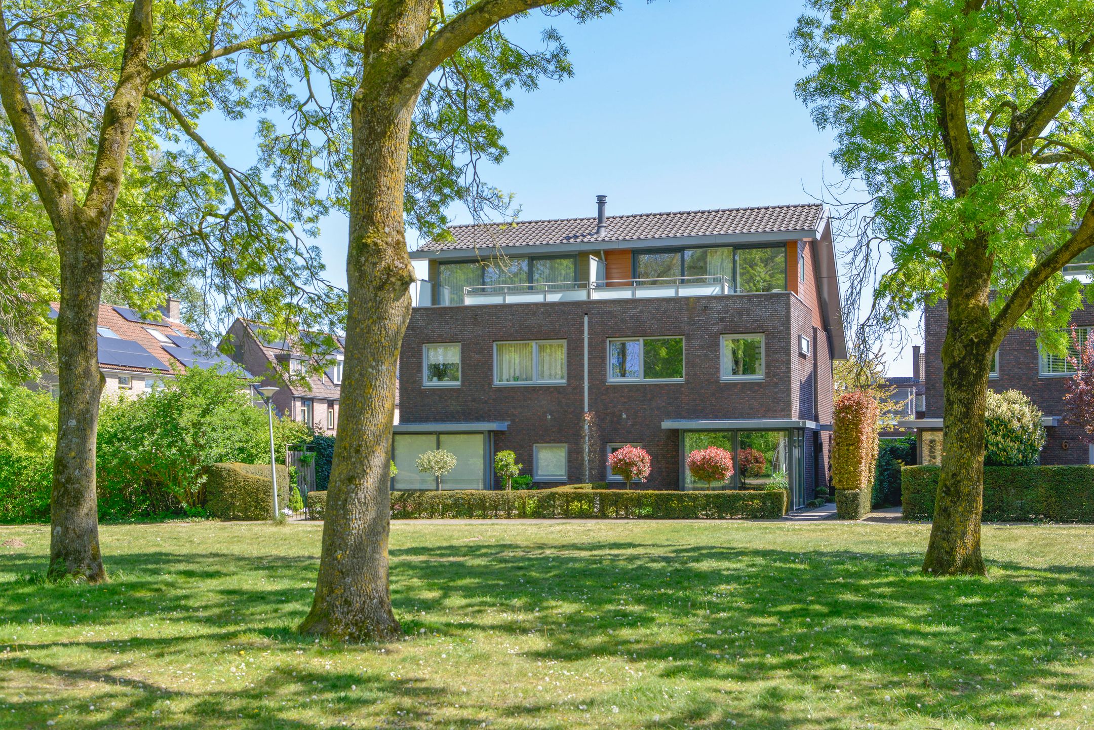 Hermelijn 8 