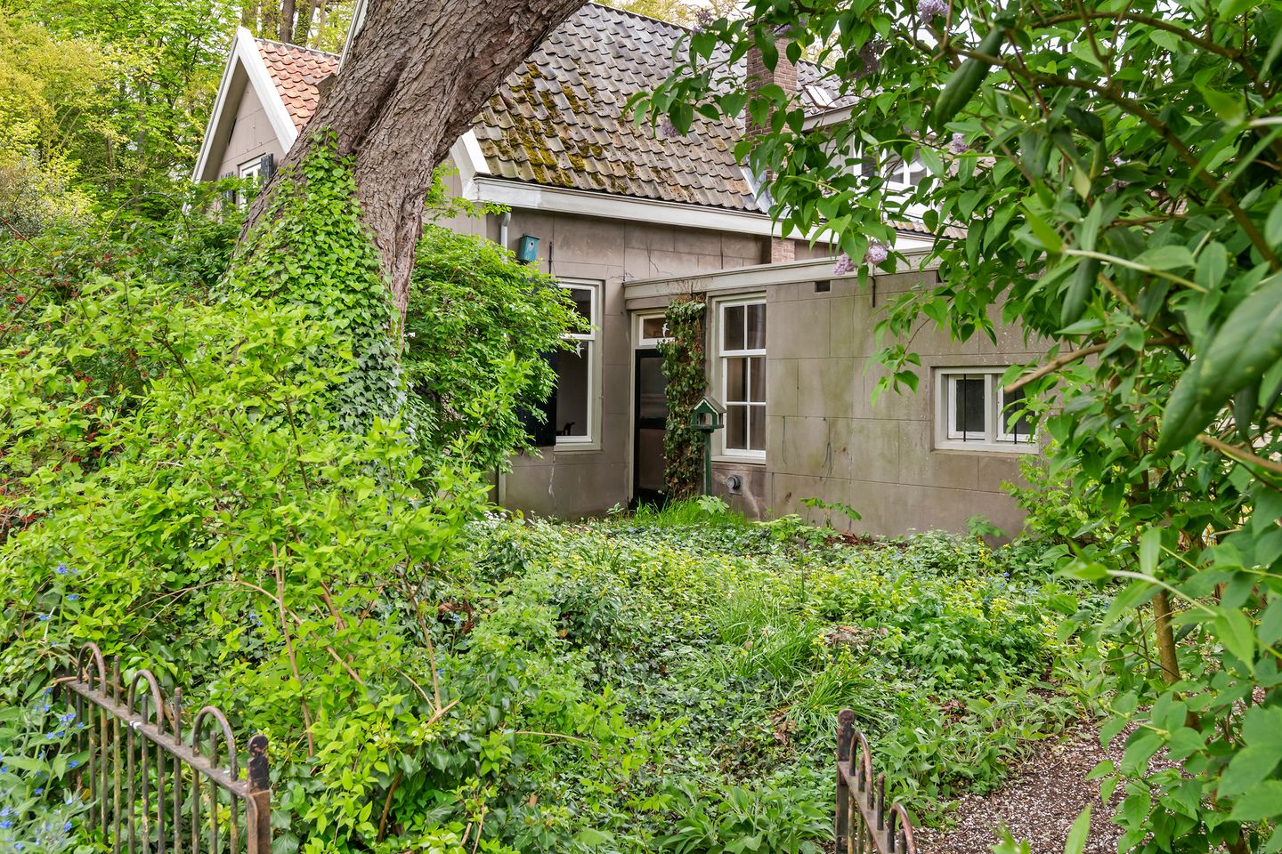 Foto 50 van van Pallandtweg 13