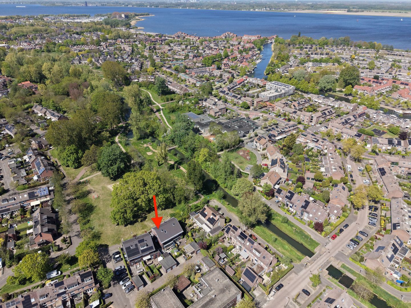 Foto 4 van Hermelijn 8