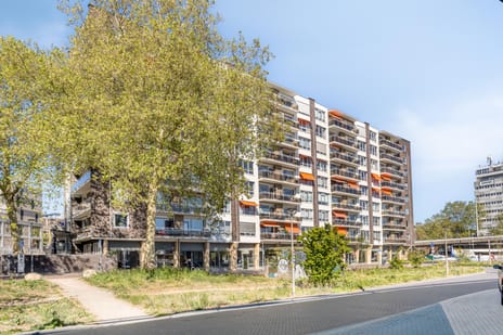 Bergstraat thumbnail