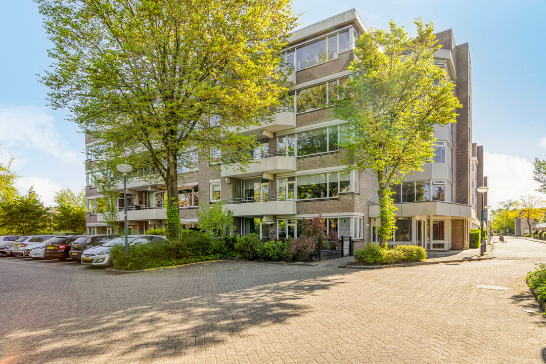Photo 22 of Zaaier 126