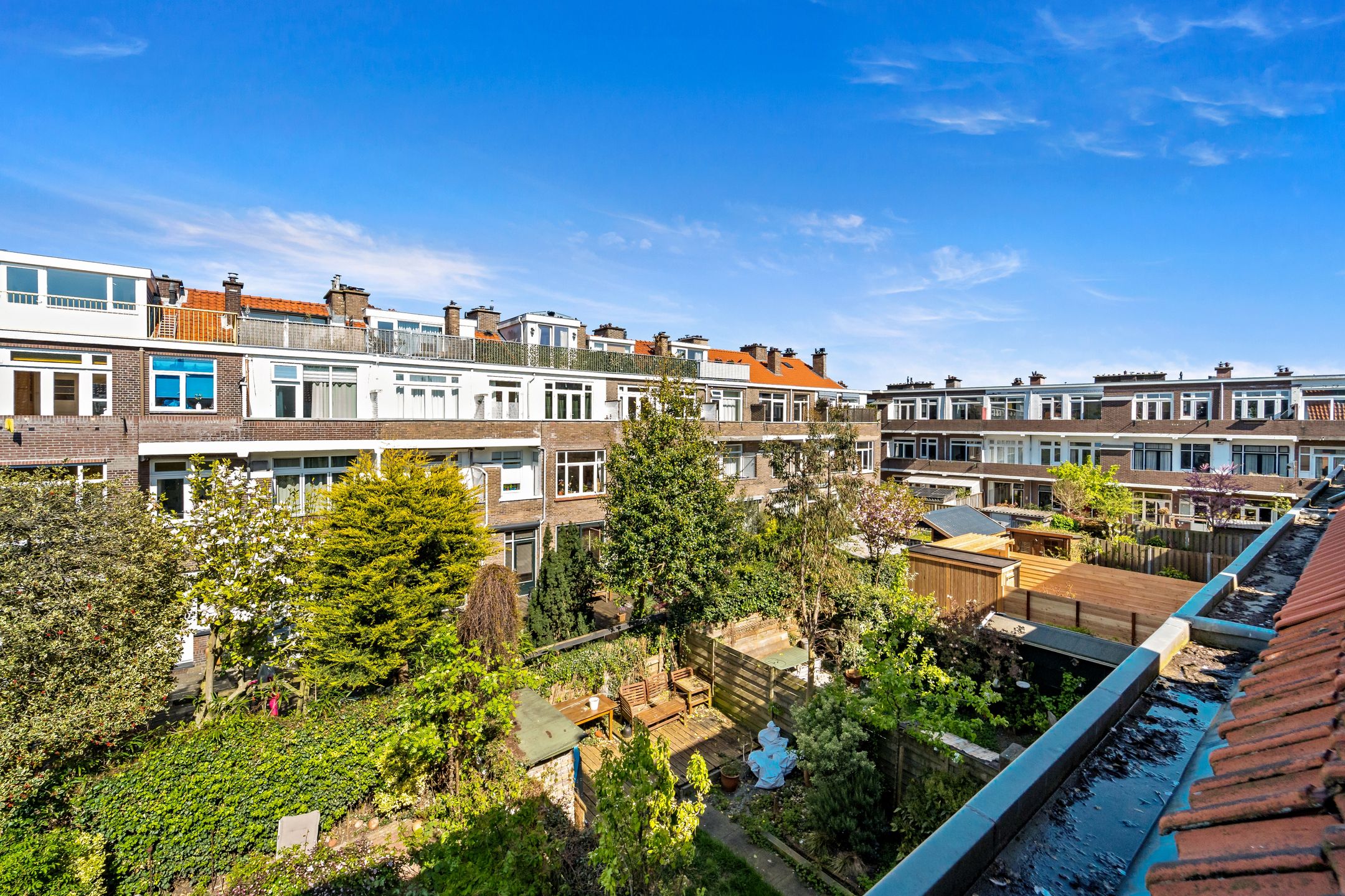 Photo 51 of Ananasstraat 85