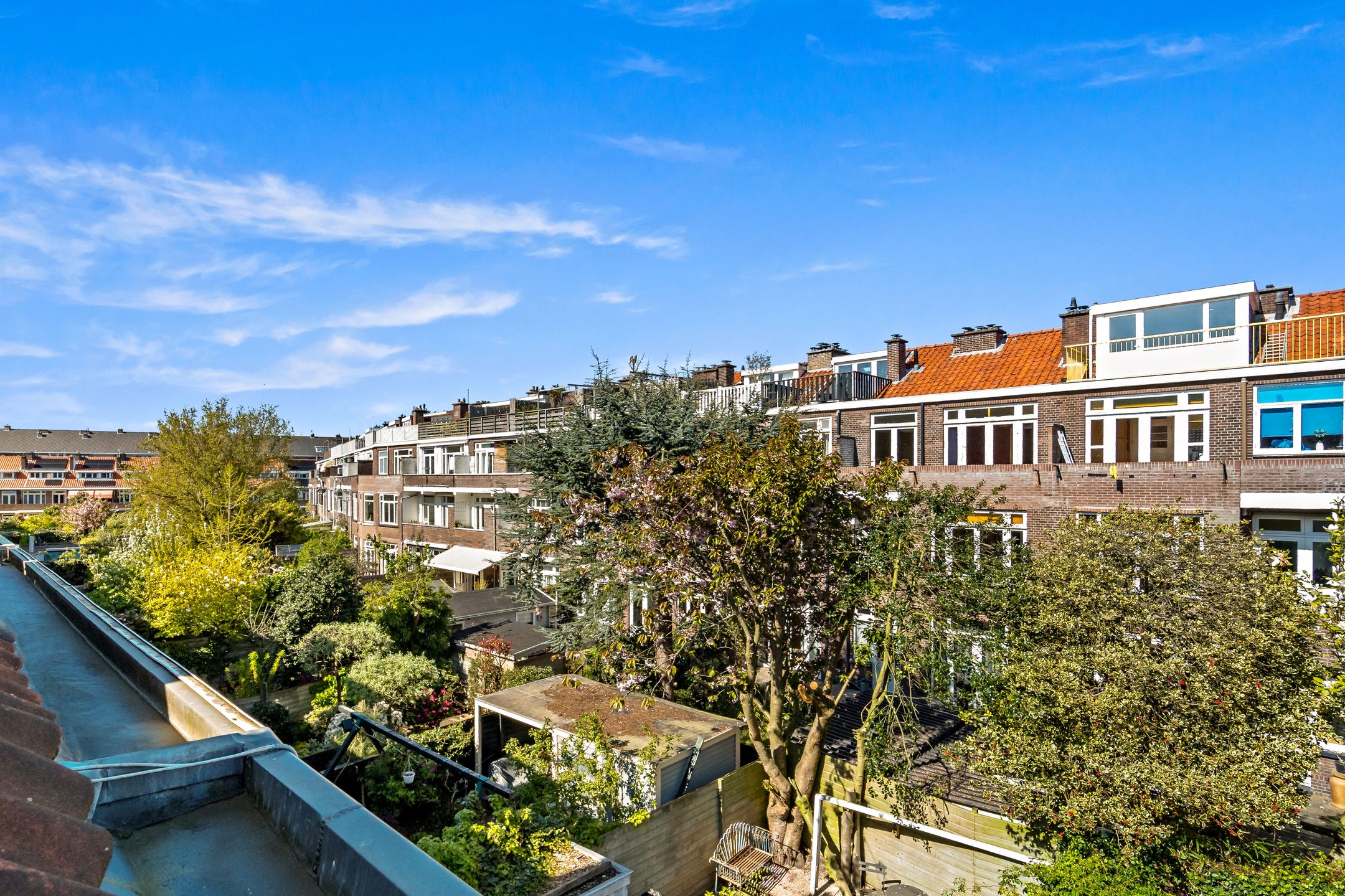 Photo 54 of Ananasstraat 85