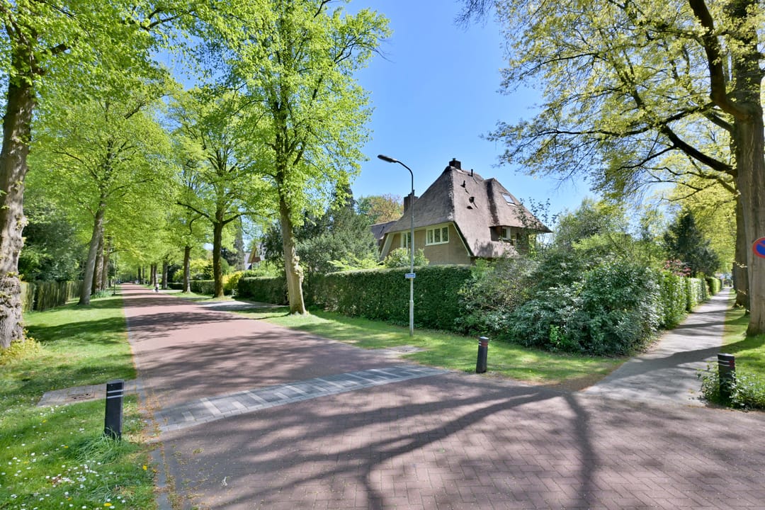 Foto 7 van Boslaan 2