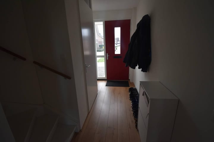 Foto 2 van Aardbeivlinder 230