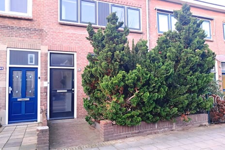 Kruiskamp thumbnail