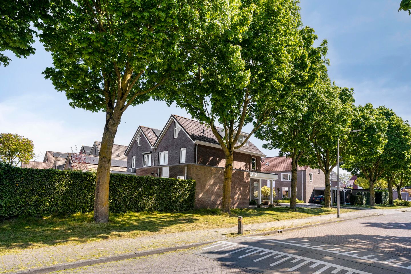 Foto 40 van het Molenpad 1