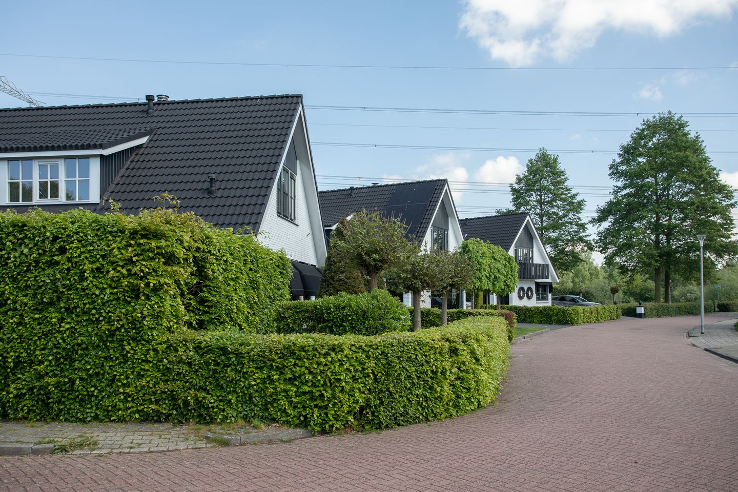Foto 49 van Scheermolen 47