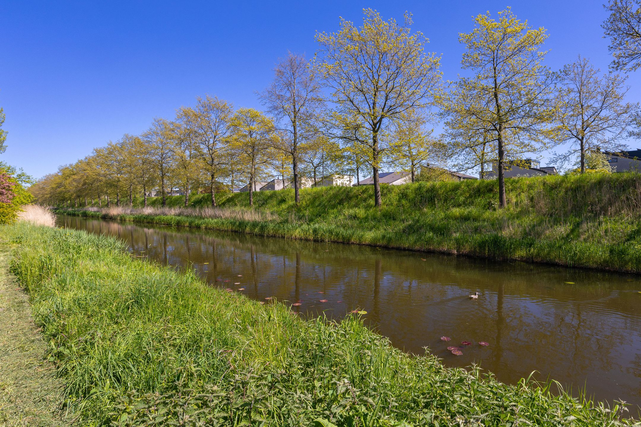 Foto 15 van Drecht 27