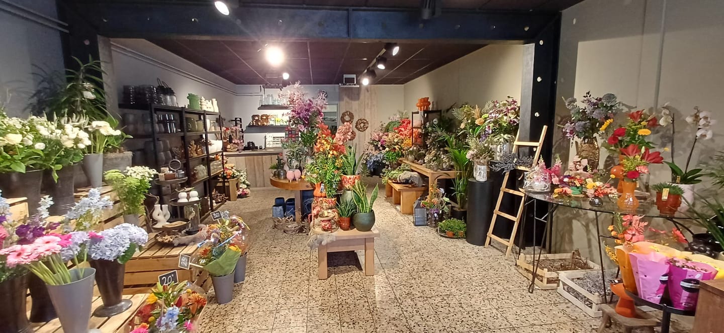Bekijk foto 3 van St. Janstraat 81