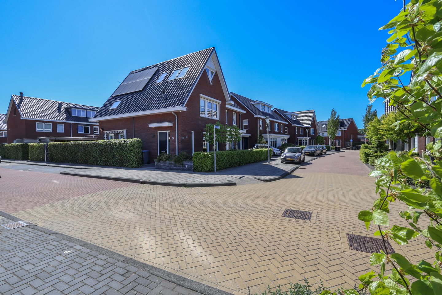 Photo 10 of Wilgenblad 12