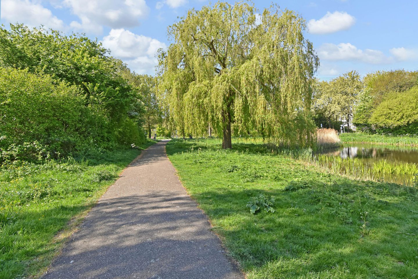 Photo 34 of Segbroeklaan 468
