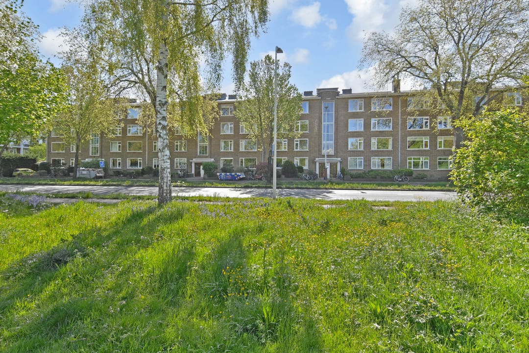 Photo 37 of Segbroeklaan 468