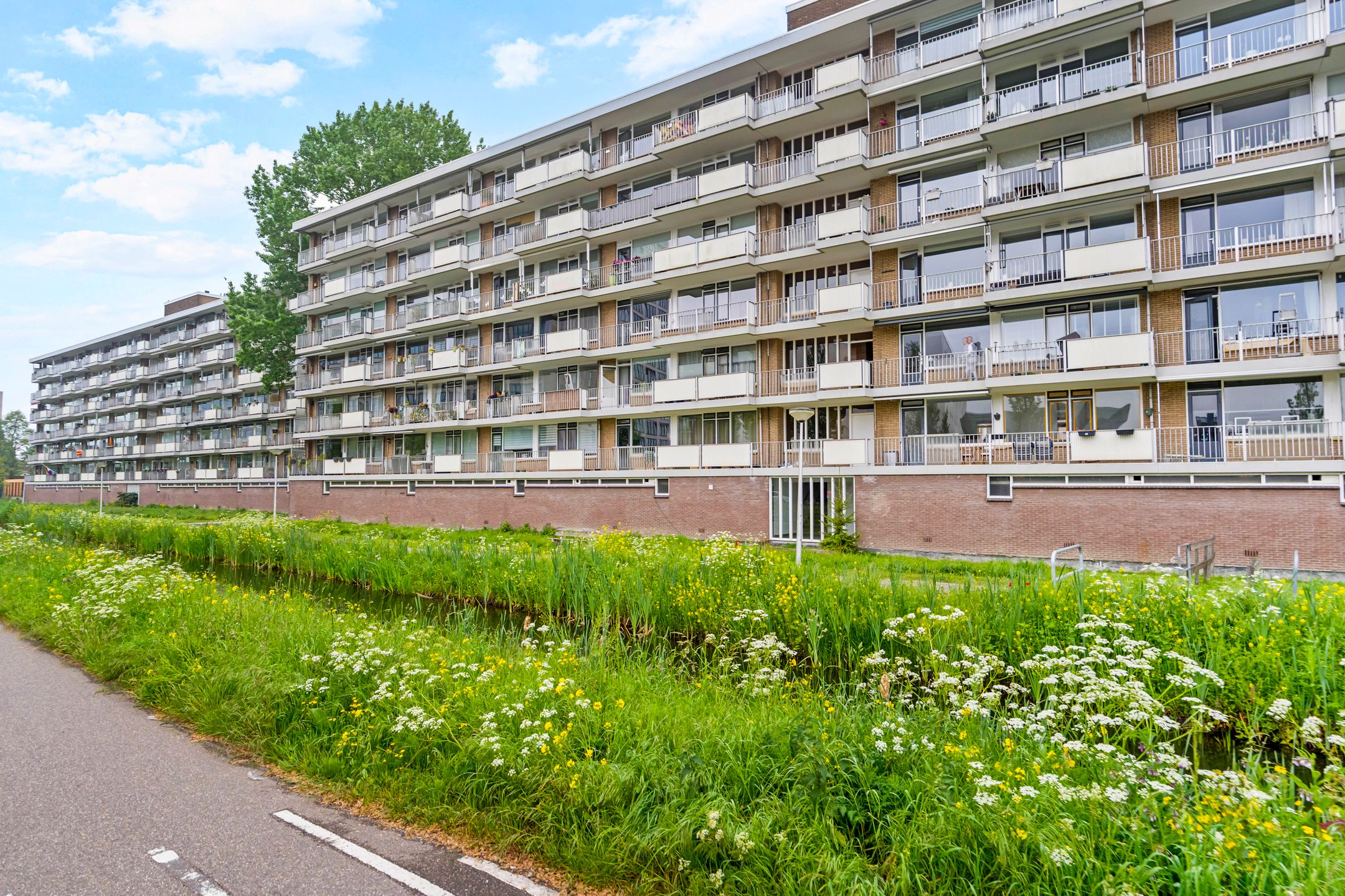 Ronsseweg 433 