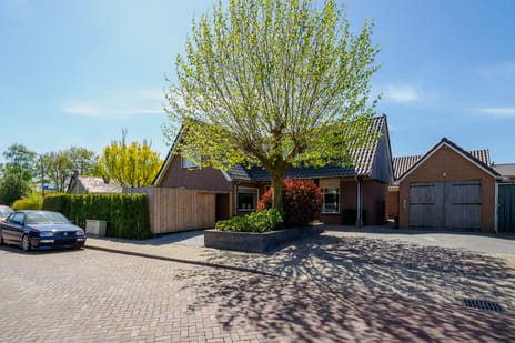 Linthorstlaan thumbnail