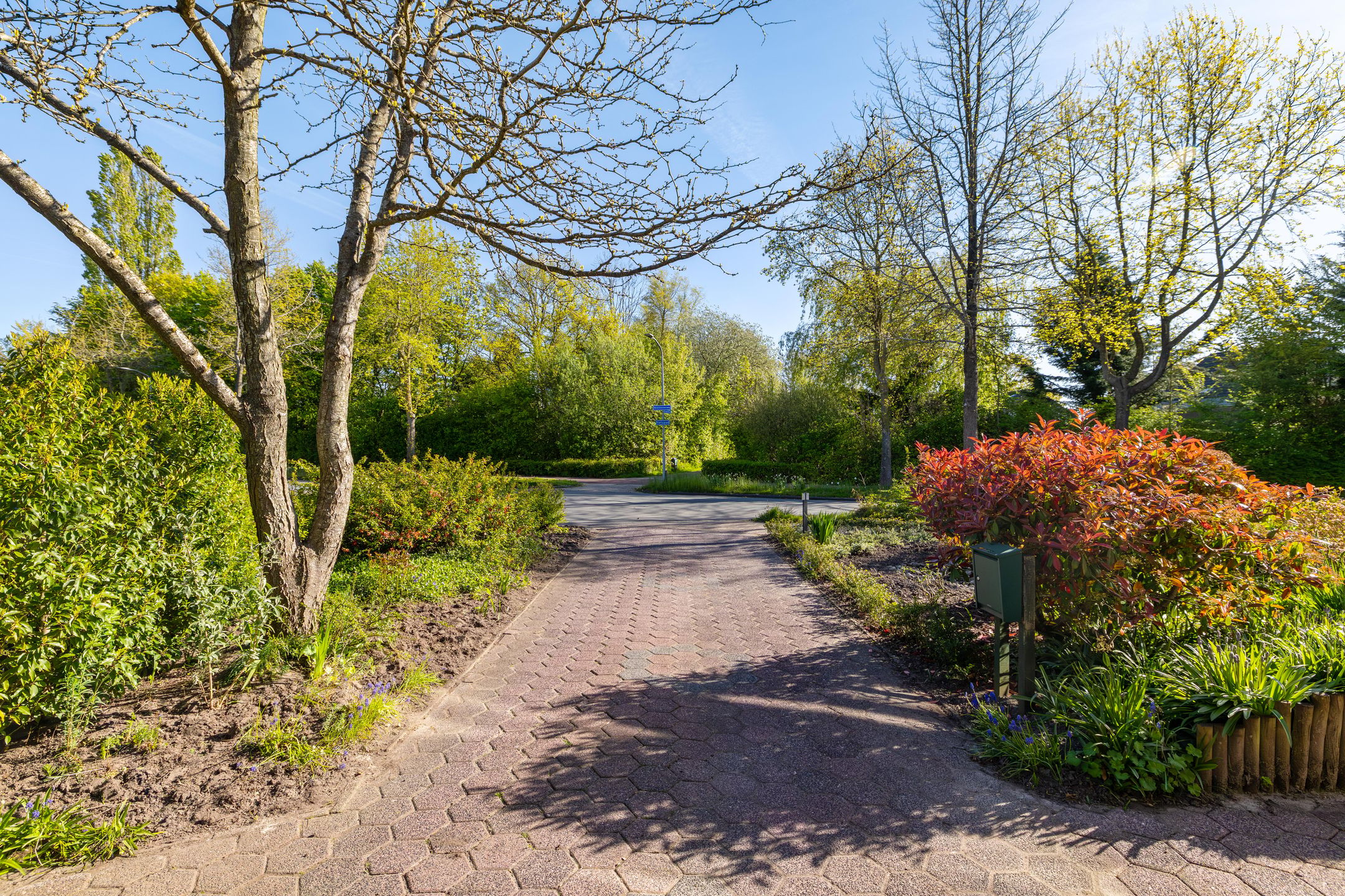 Foto 48 van Weidebloemenweg 13
