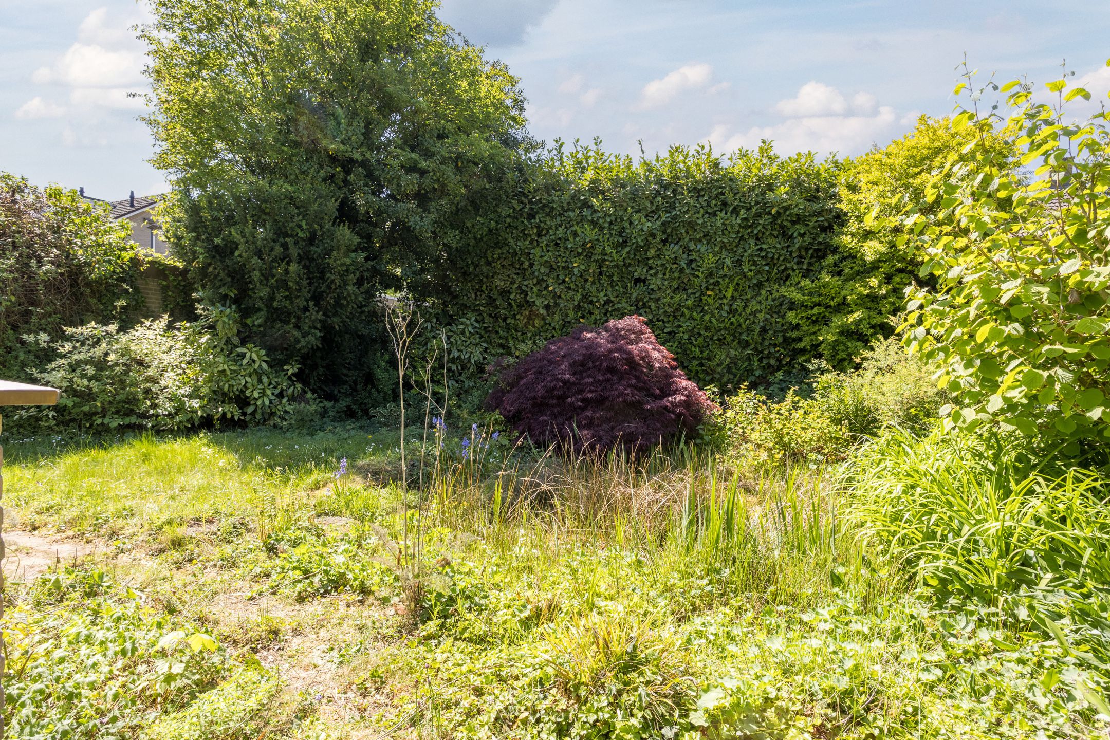 Photo 39 of De Wever 19