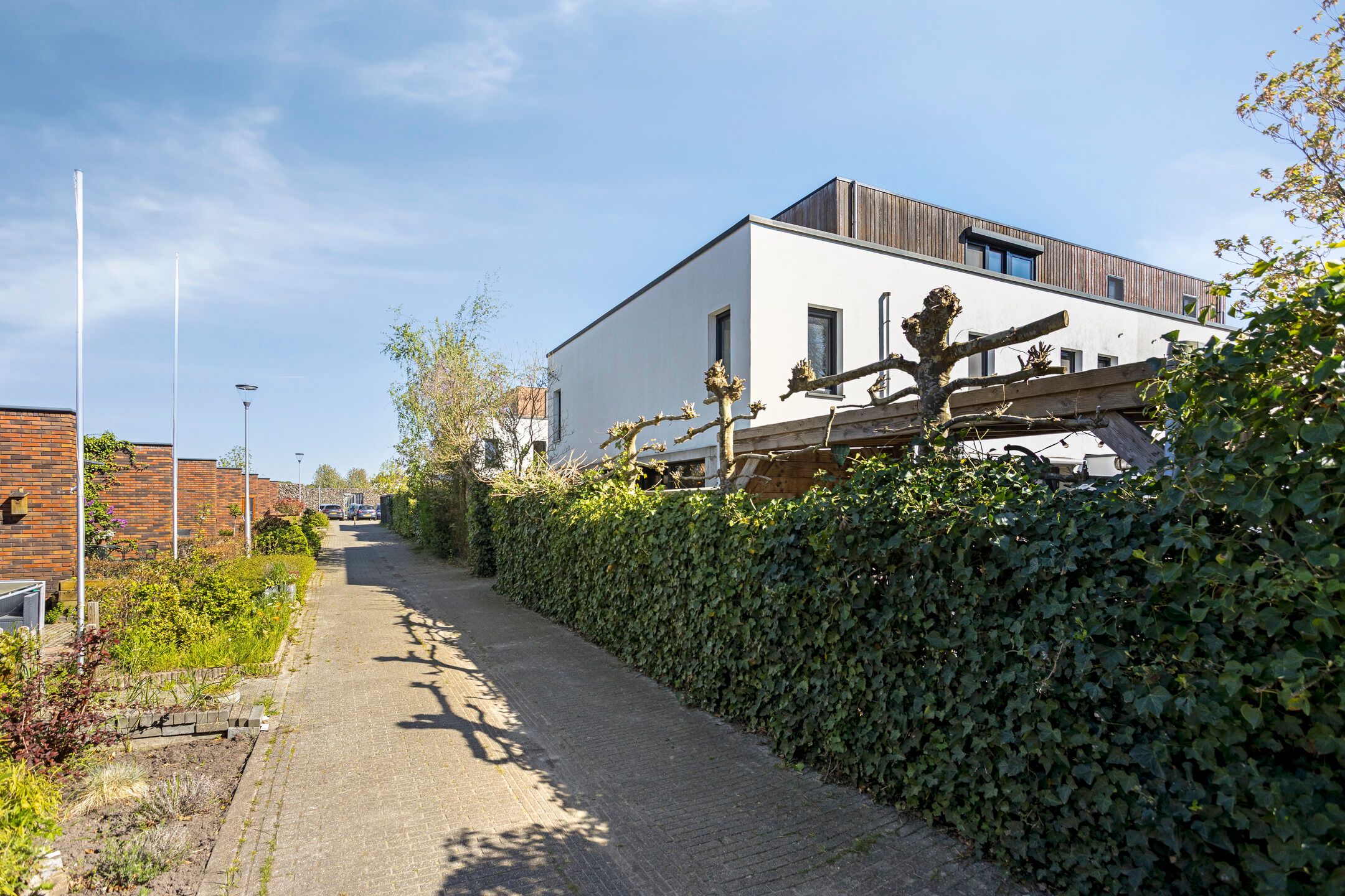Foto 3 van Waardenburgstraat 65