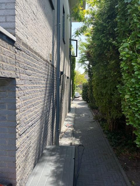 Foto 36 van Naaldvaren 3