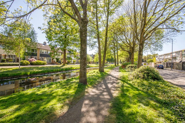 Foto 4 van Trompetbloem 18