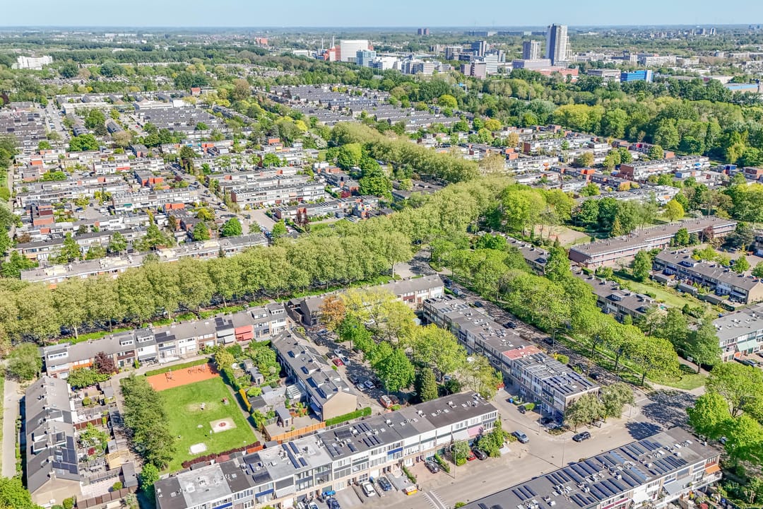 Foto 46 van Trompetbloem 18