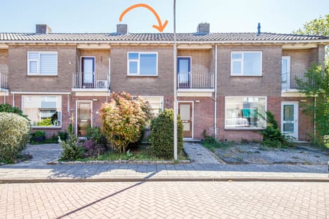 Looierijstraat thumbnail