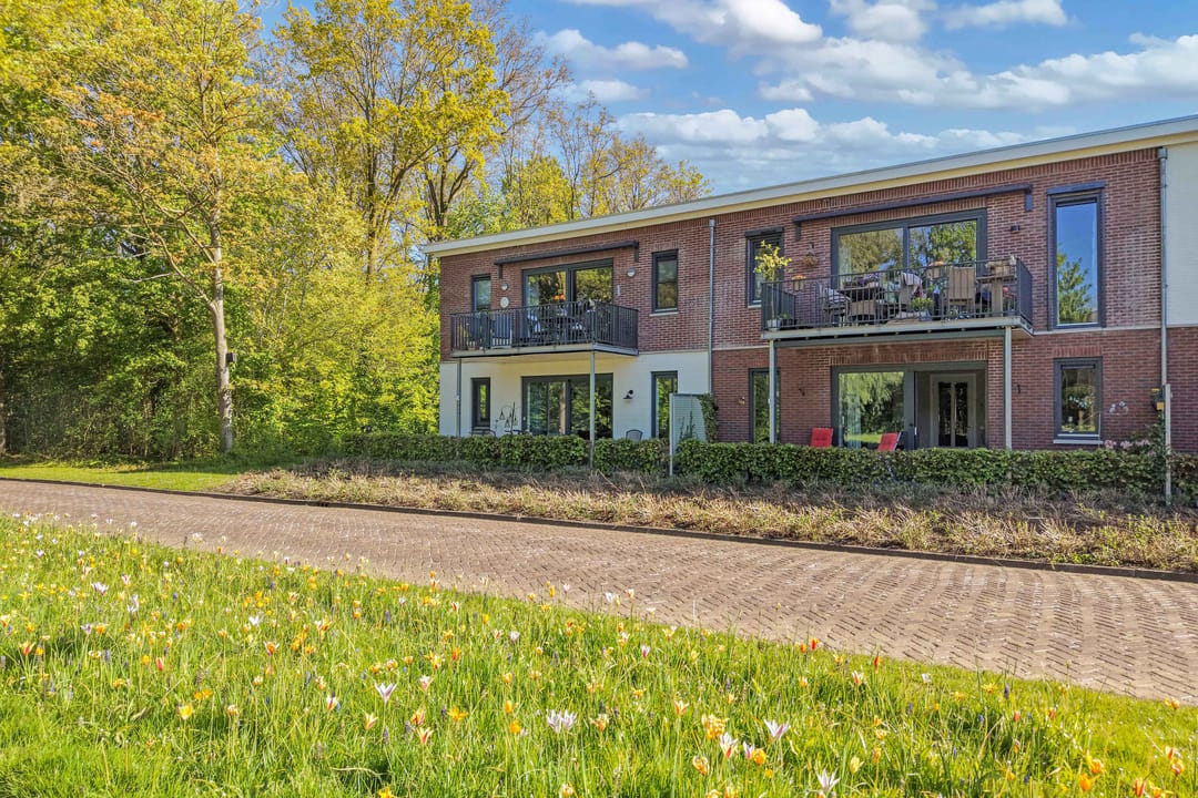 Photo 8 of Hofjager 15