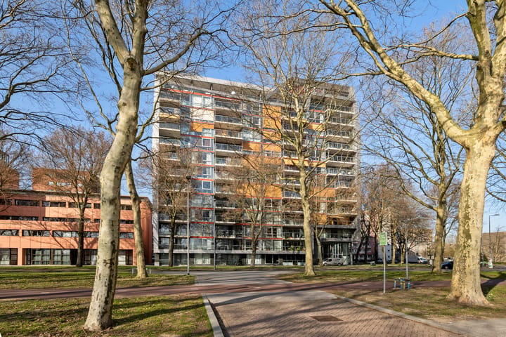Foto 2 van Prinsenlaan 615-F
