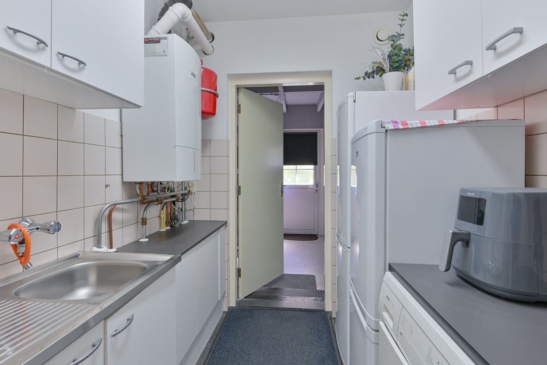 Foto 41 van Sierduif 2