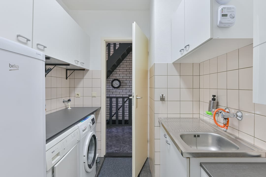 Foto 43 van Sierduif 2
