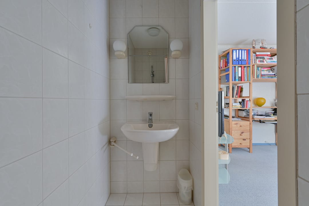 Foto 41 van Sierduif 2