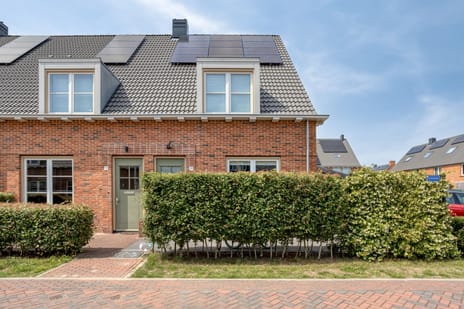 Caro van Eyckstraat thumbnail