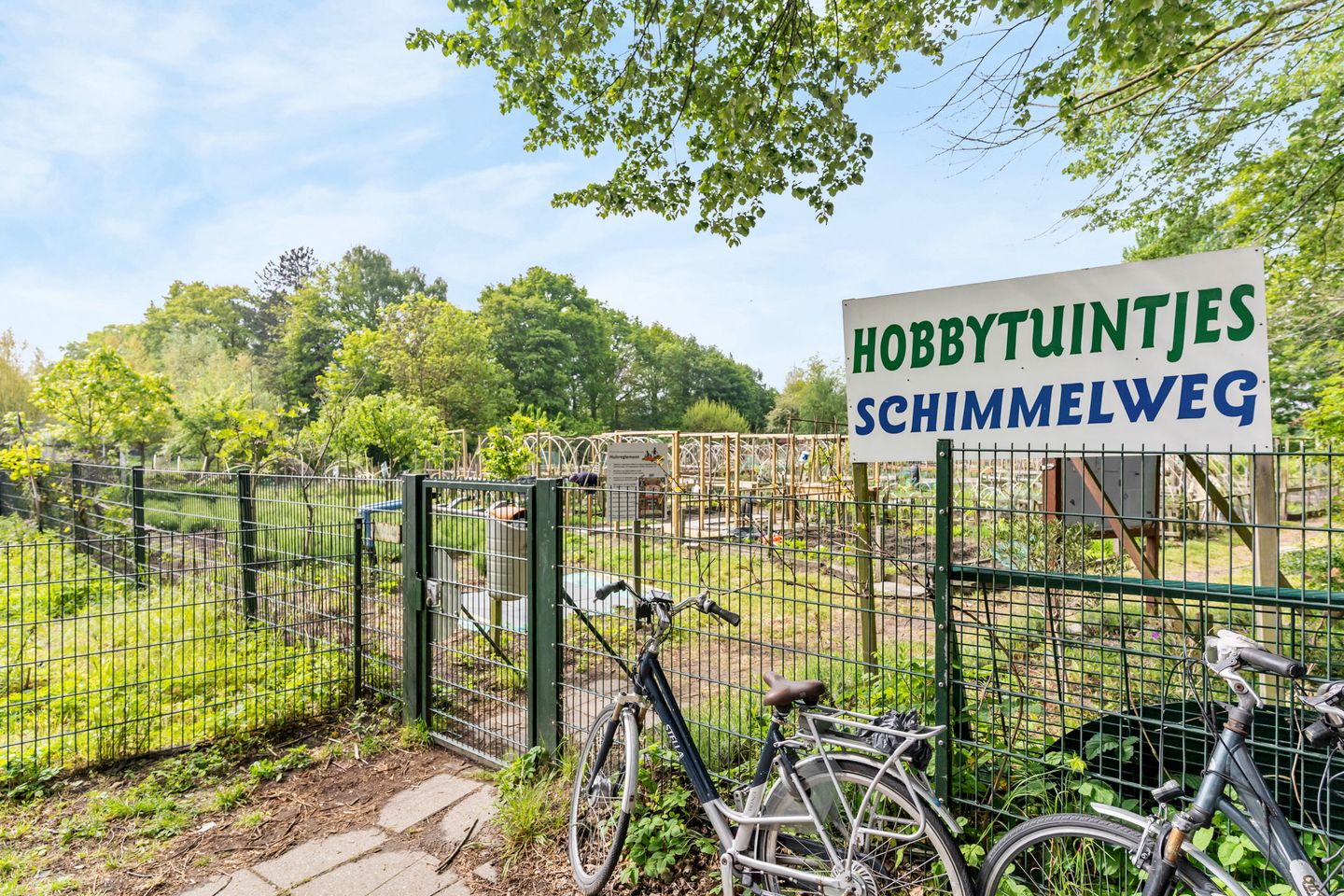 Photo 40 of Schimmelweg 493