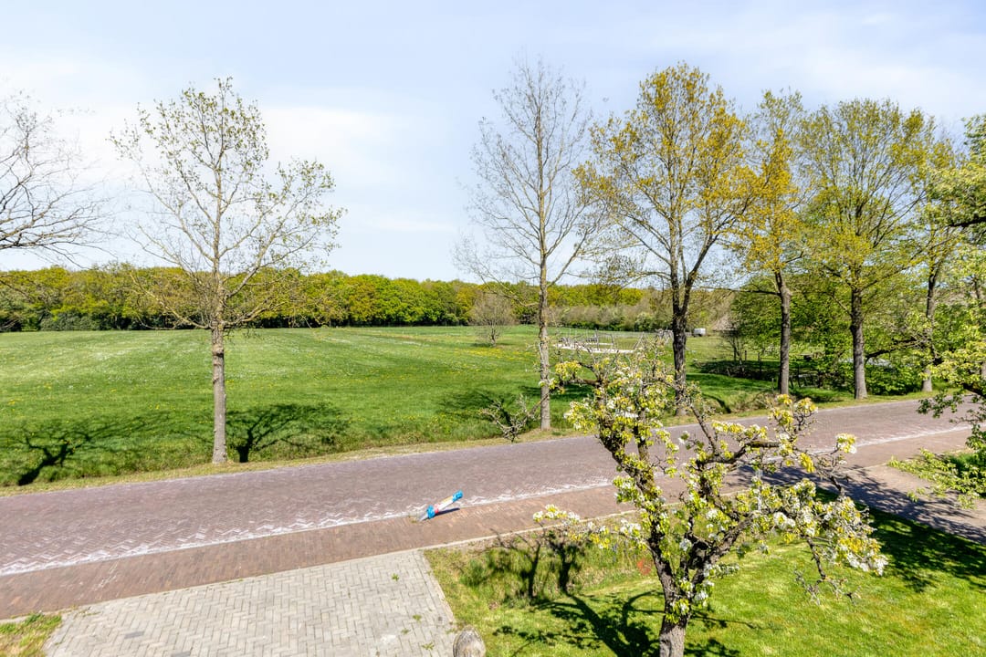 Photo 67 of Noordesch 2