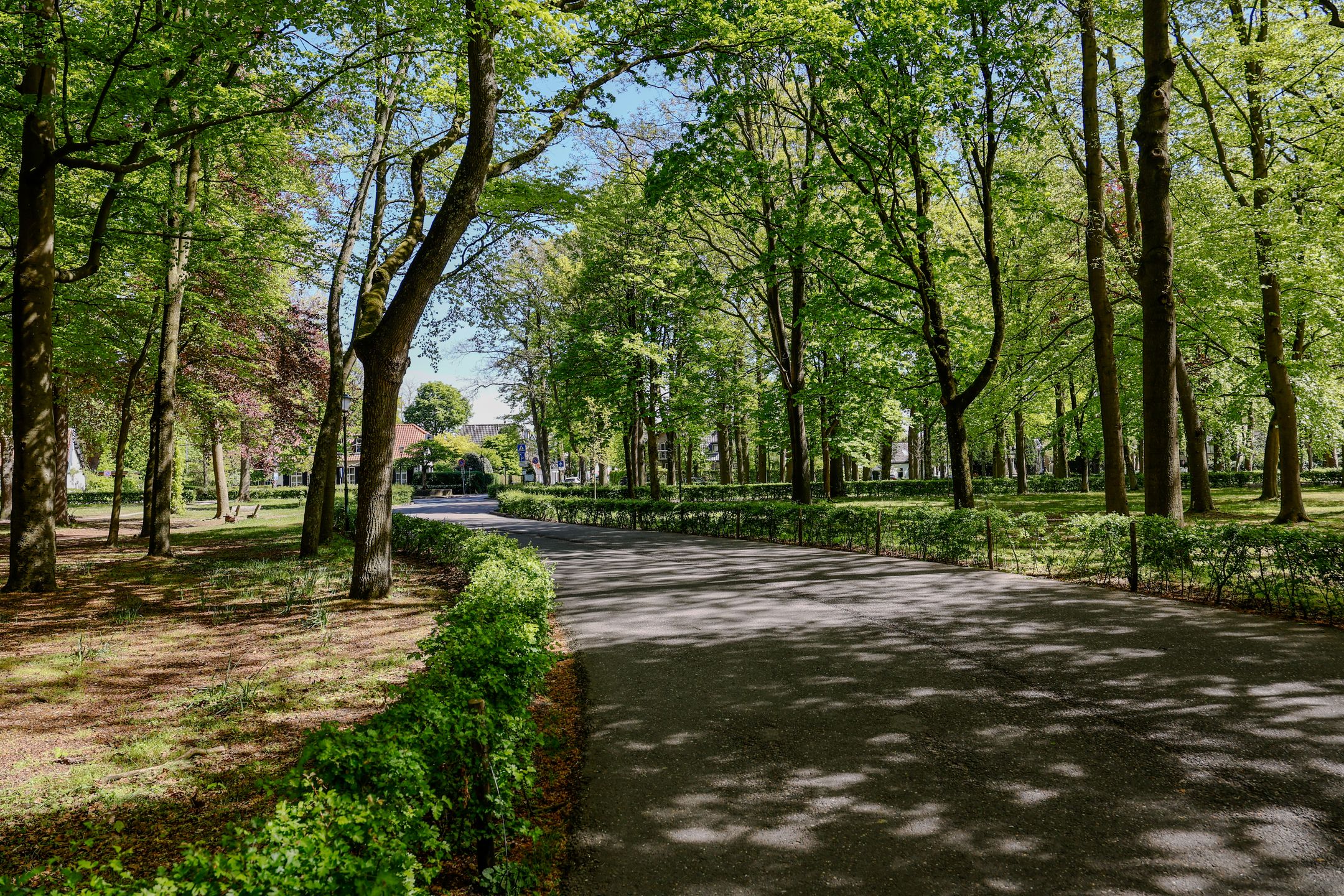 Photo 33 of Roemer Visscherlaan 2