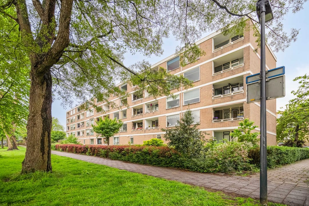 Photo 41 of Paramaribostraat 55