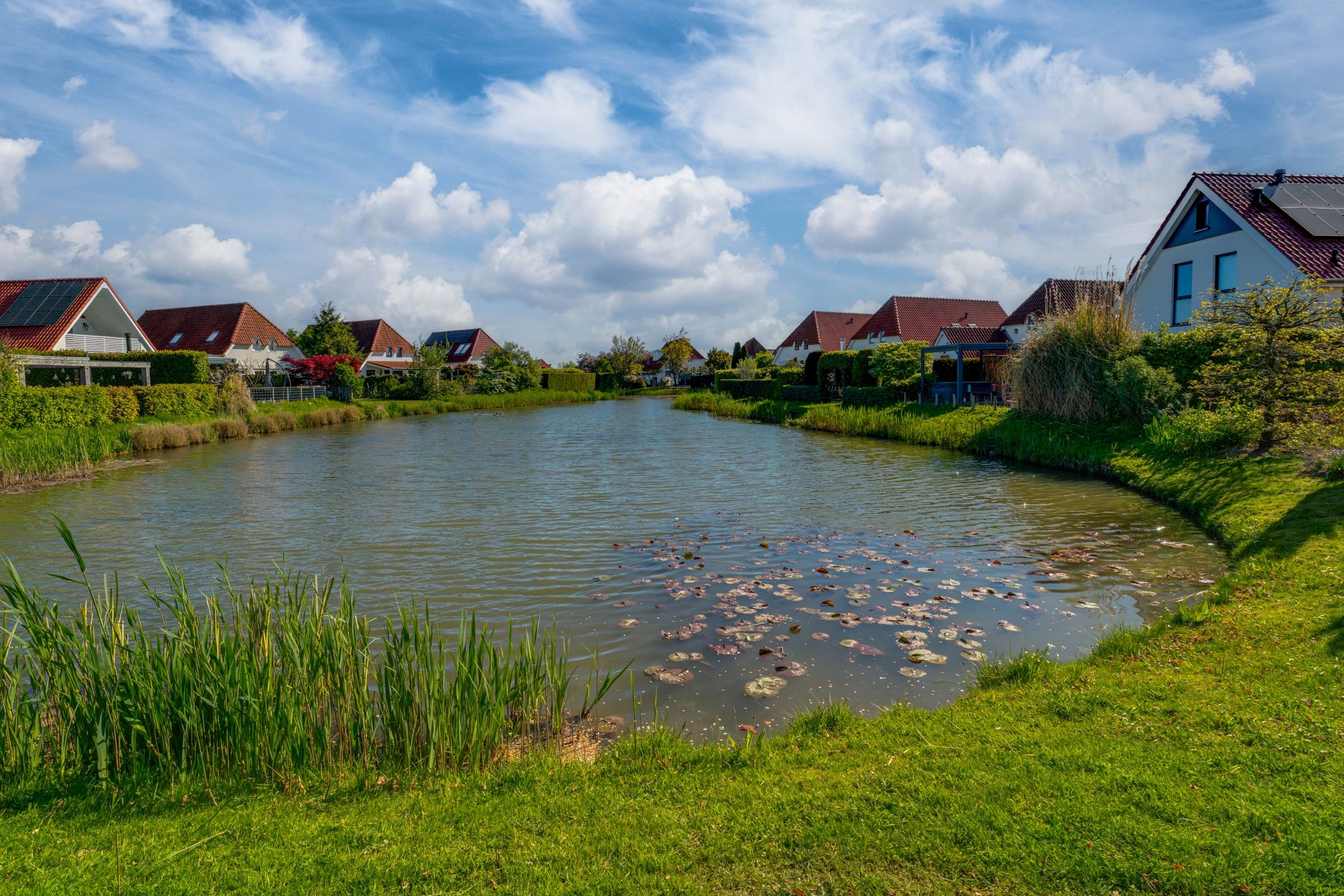 Photo 45 of Wilde Zwaan 22