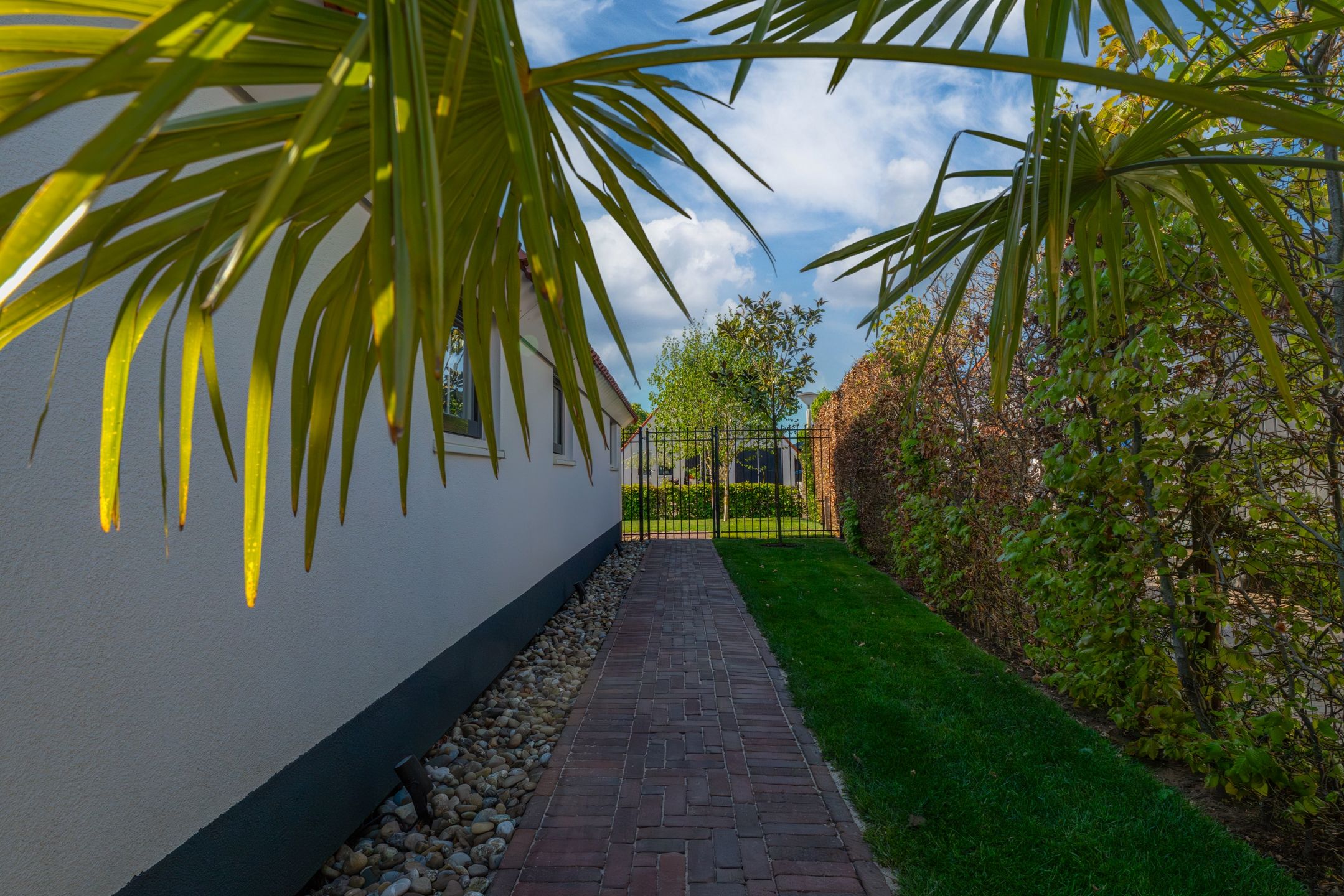 Photo 39 of Wilde Zwaan 22