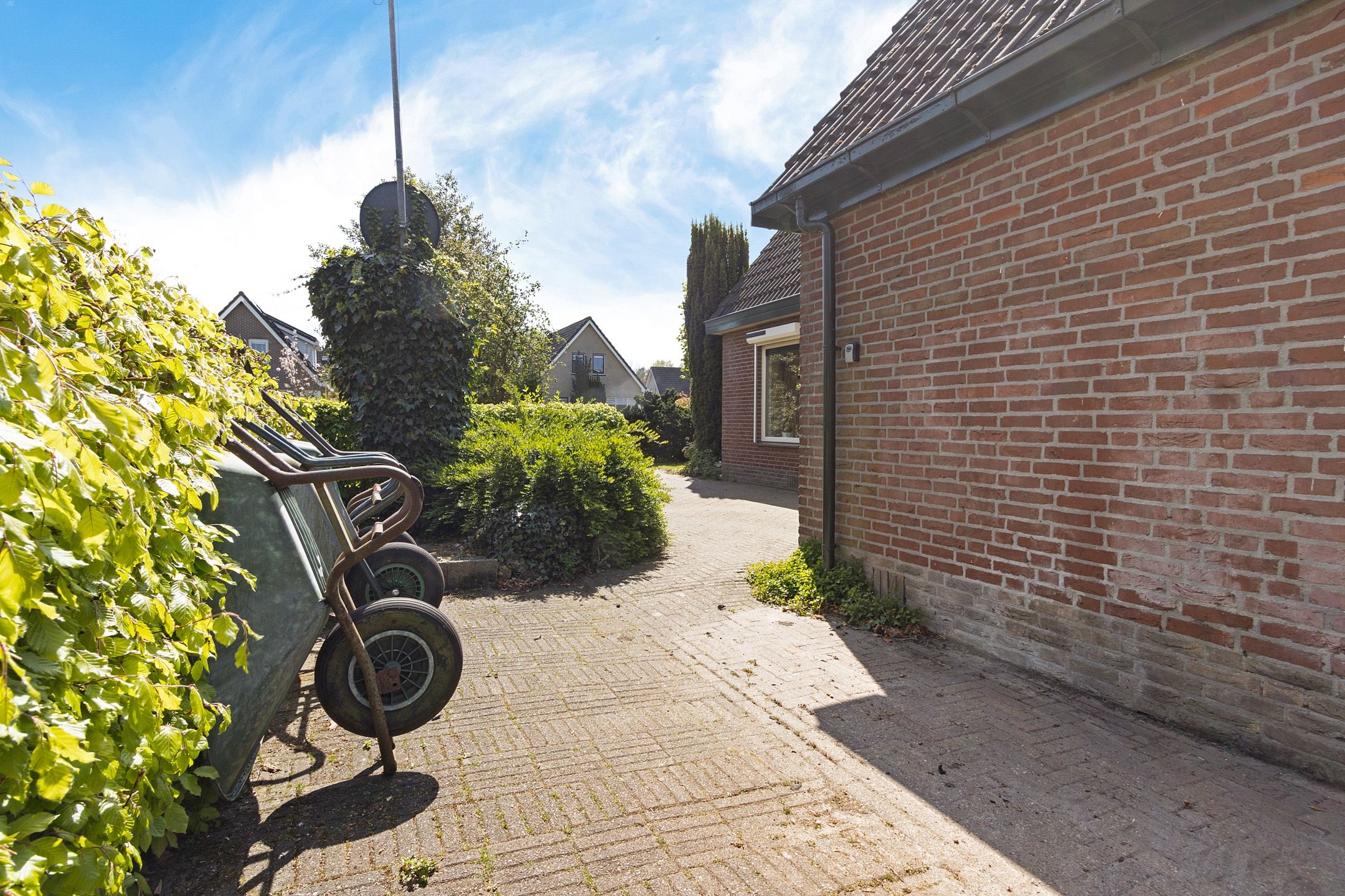 Photo 33 of Vogelrijd 5