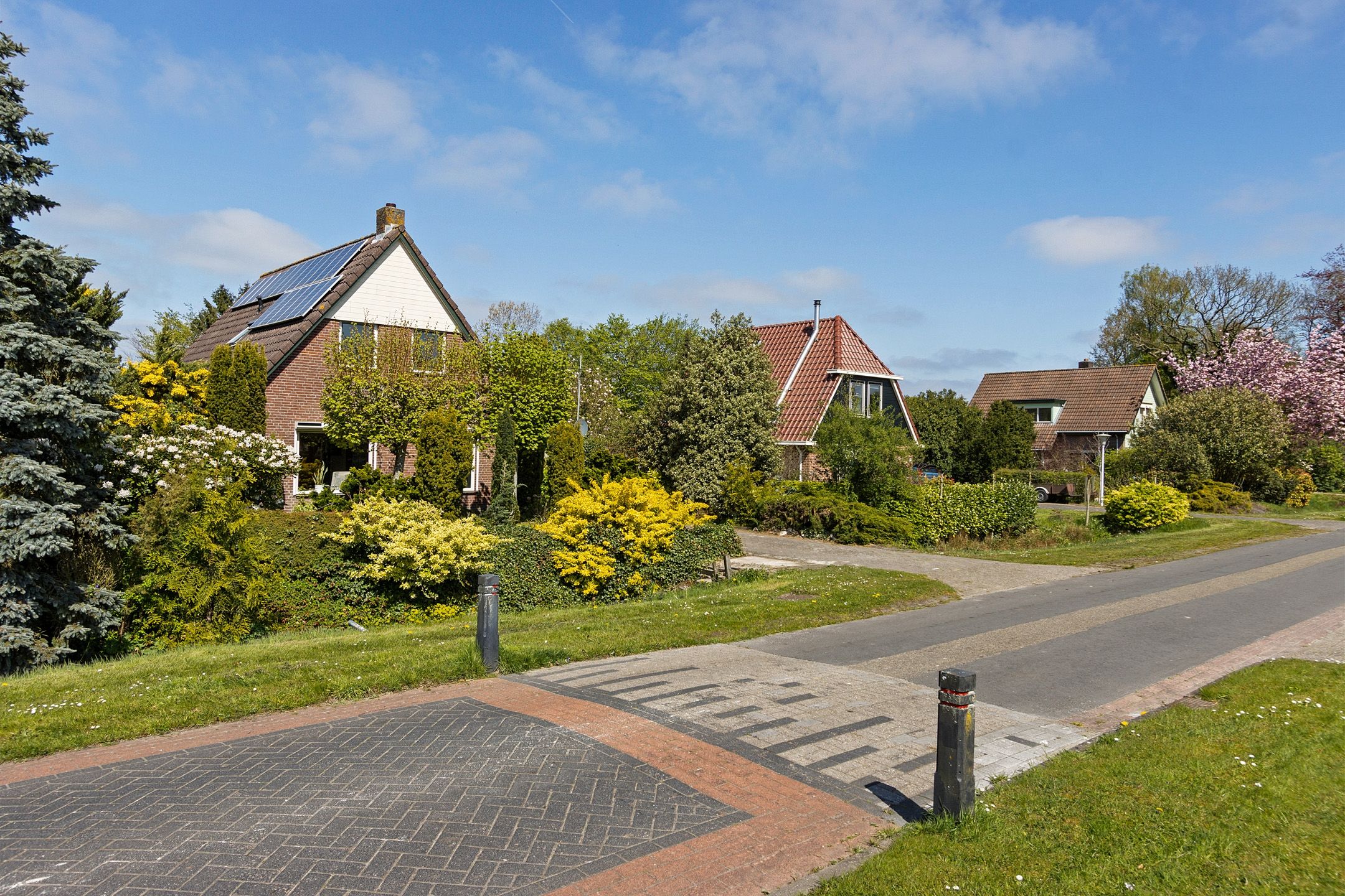 Photo 3 of Vogelrijd 5