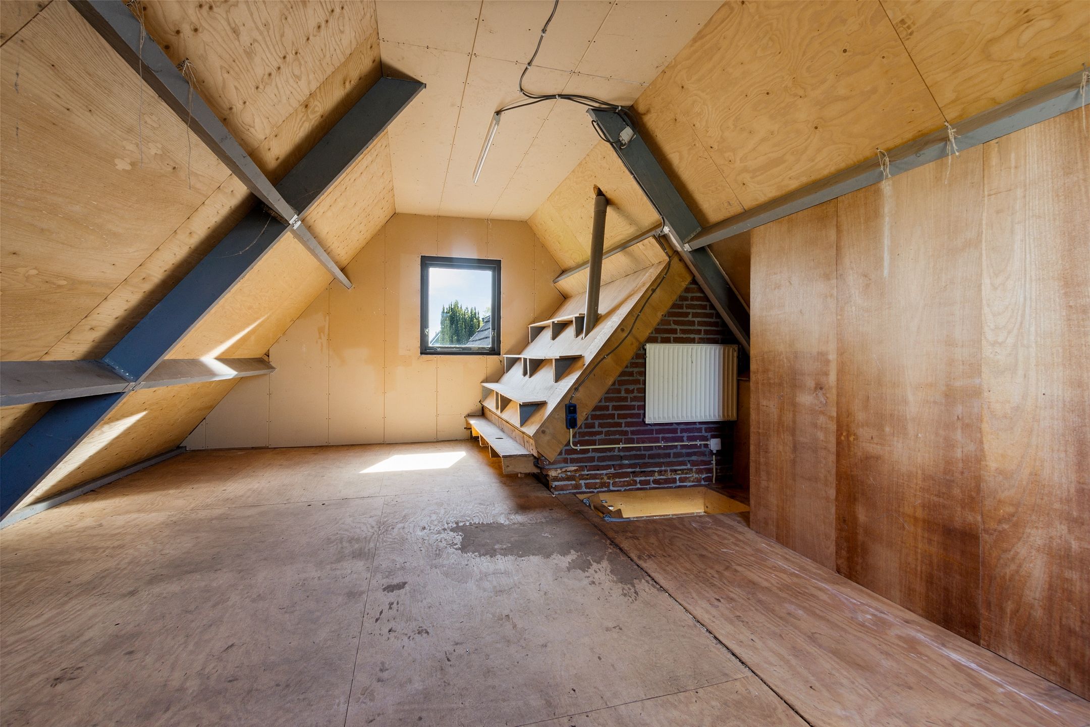 Photo 30 of Vogelrijd 5