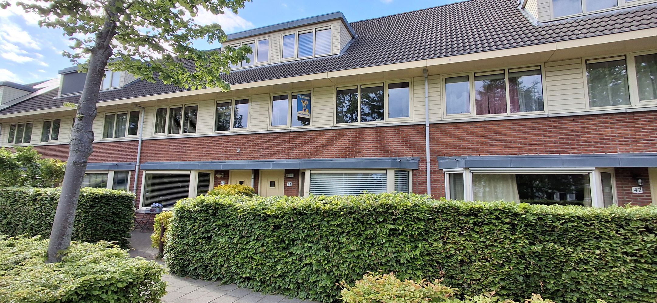 Vasalisstraat 44 