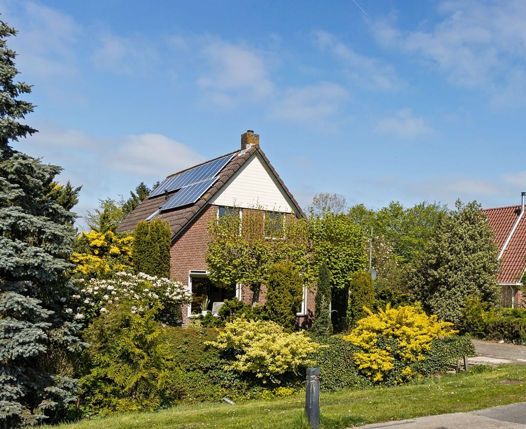Photo 1 of Vogelrijd 5