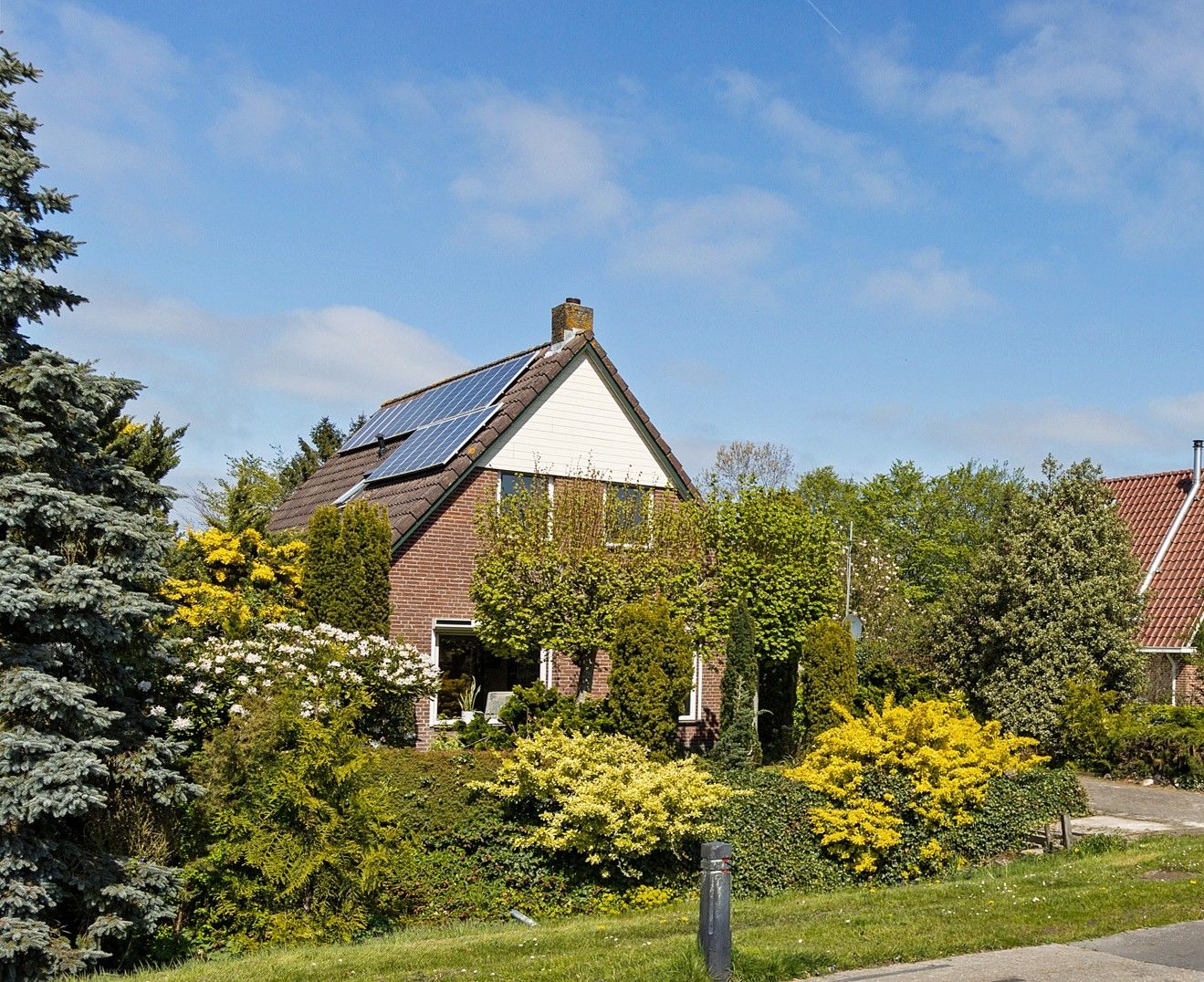 Photo 1 of Vogelrijd 5