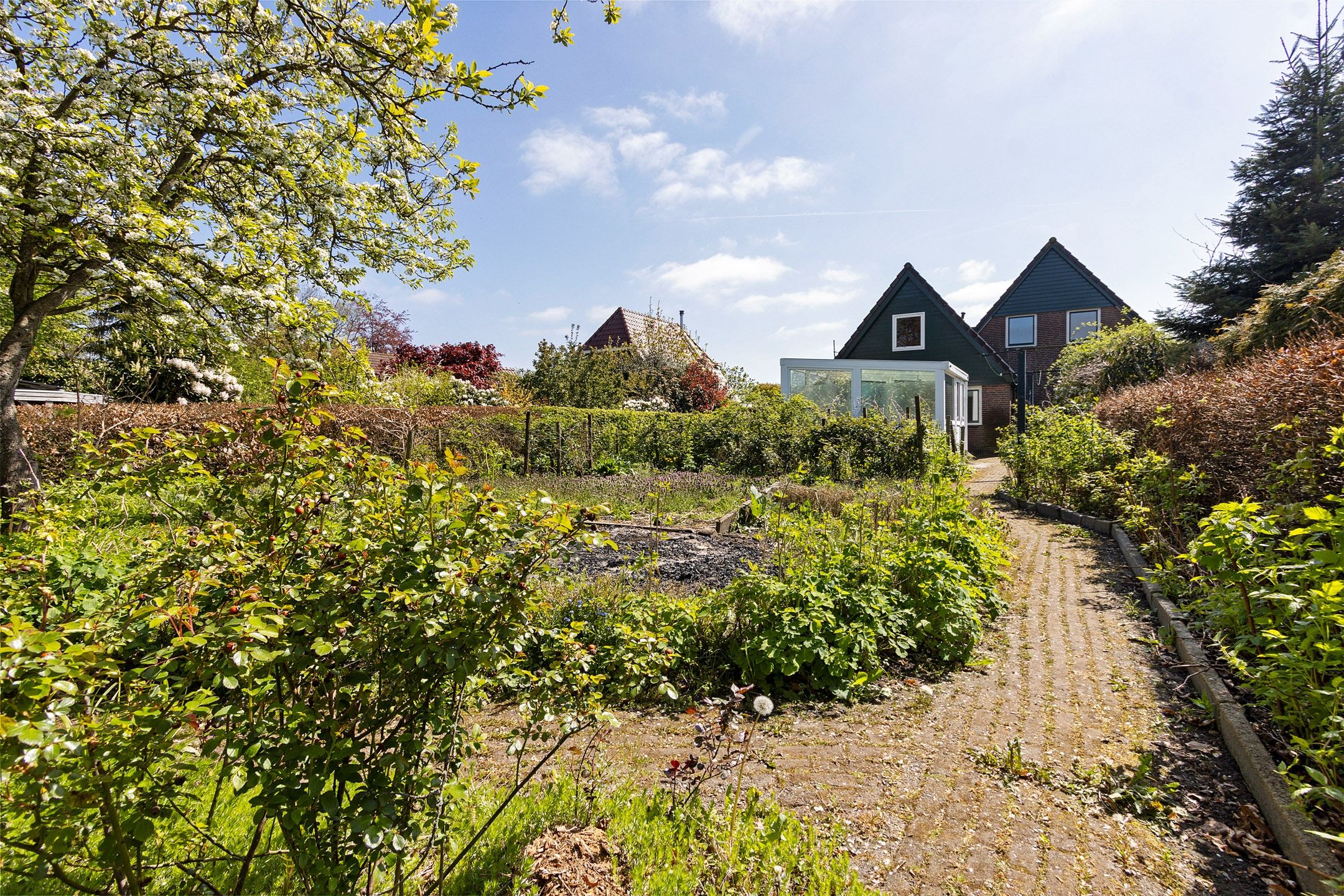 Photo 39 of Vogelrijd 5
