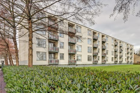 Albertistraat thumbnail