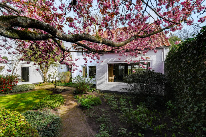 Foto 4 van Hertog Hendriklaan 21