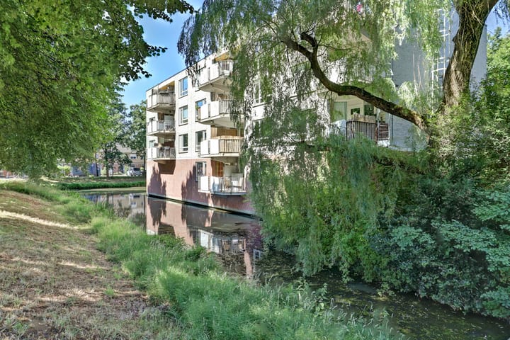 Hinderstein 6